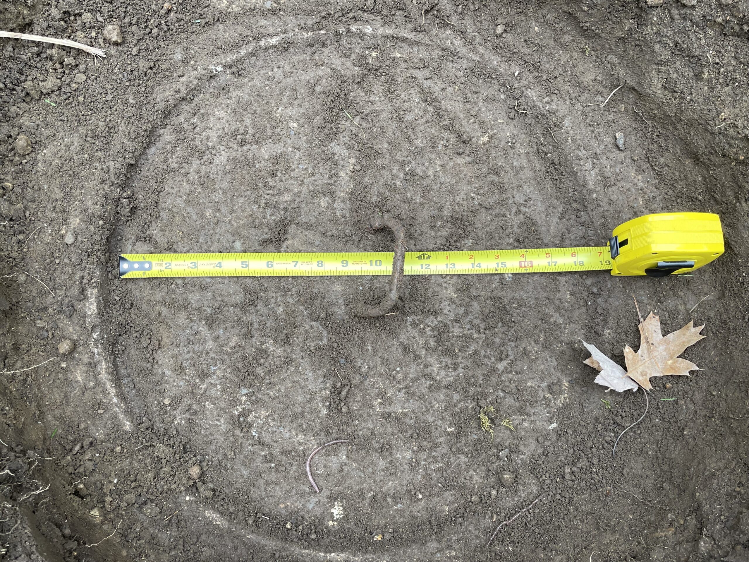 SterlingSeptic_IMG_6497