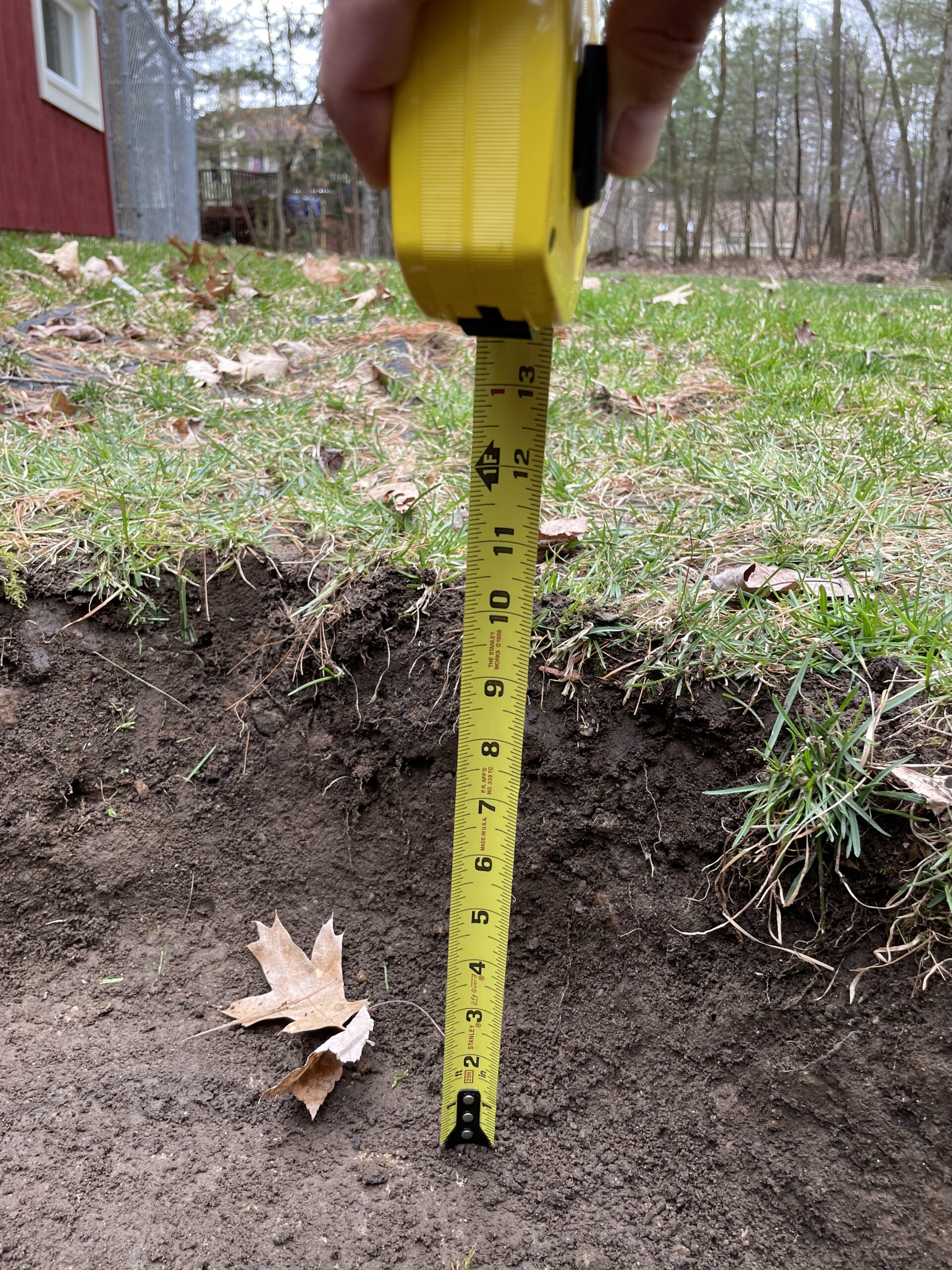 SterlingSeptic_IMG_6499