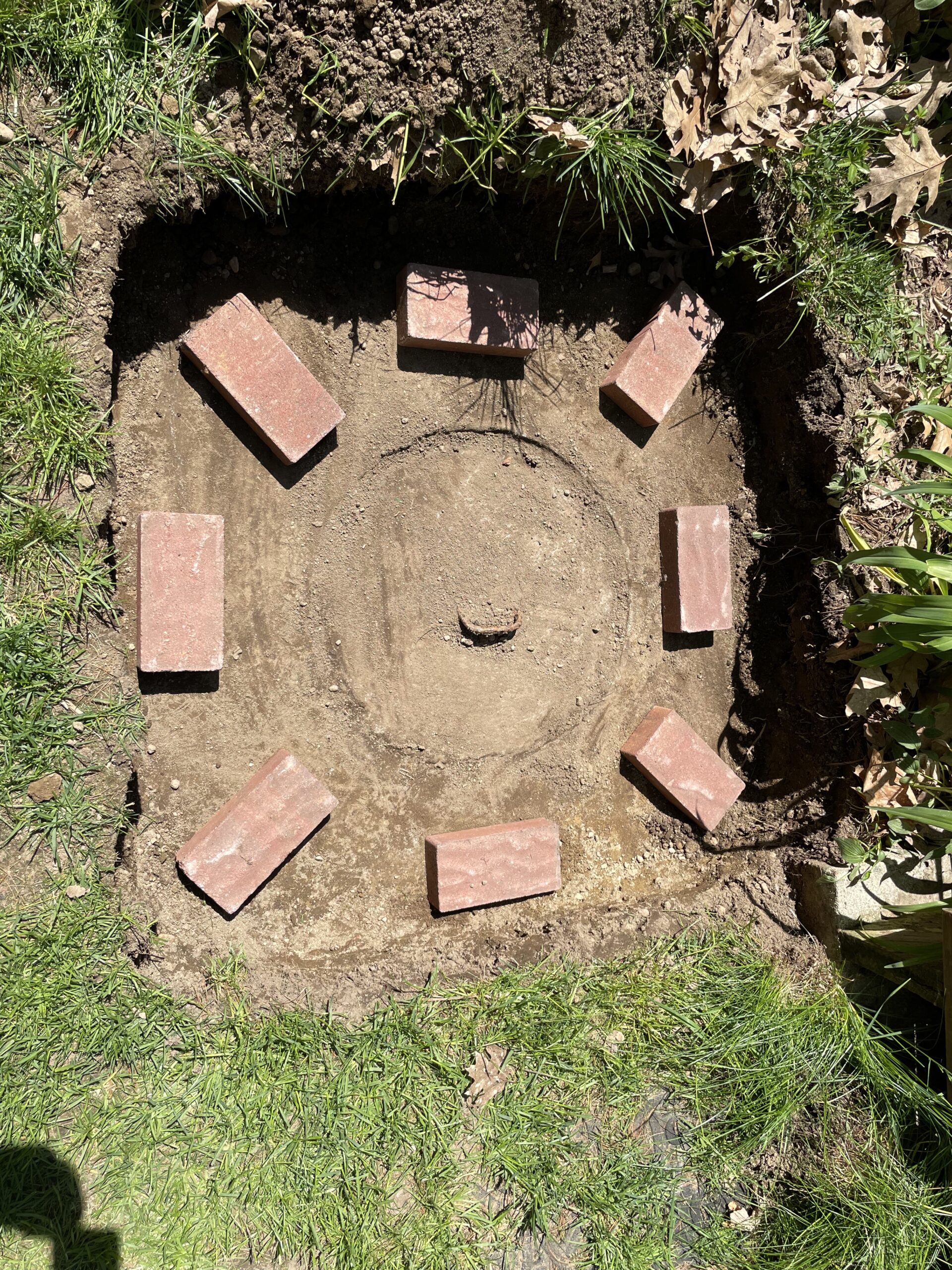 SterlingSeptic_IMG_7113