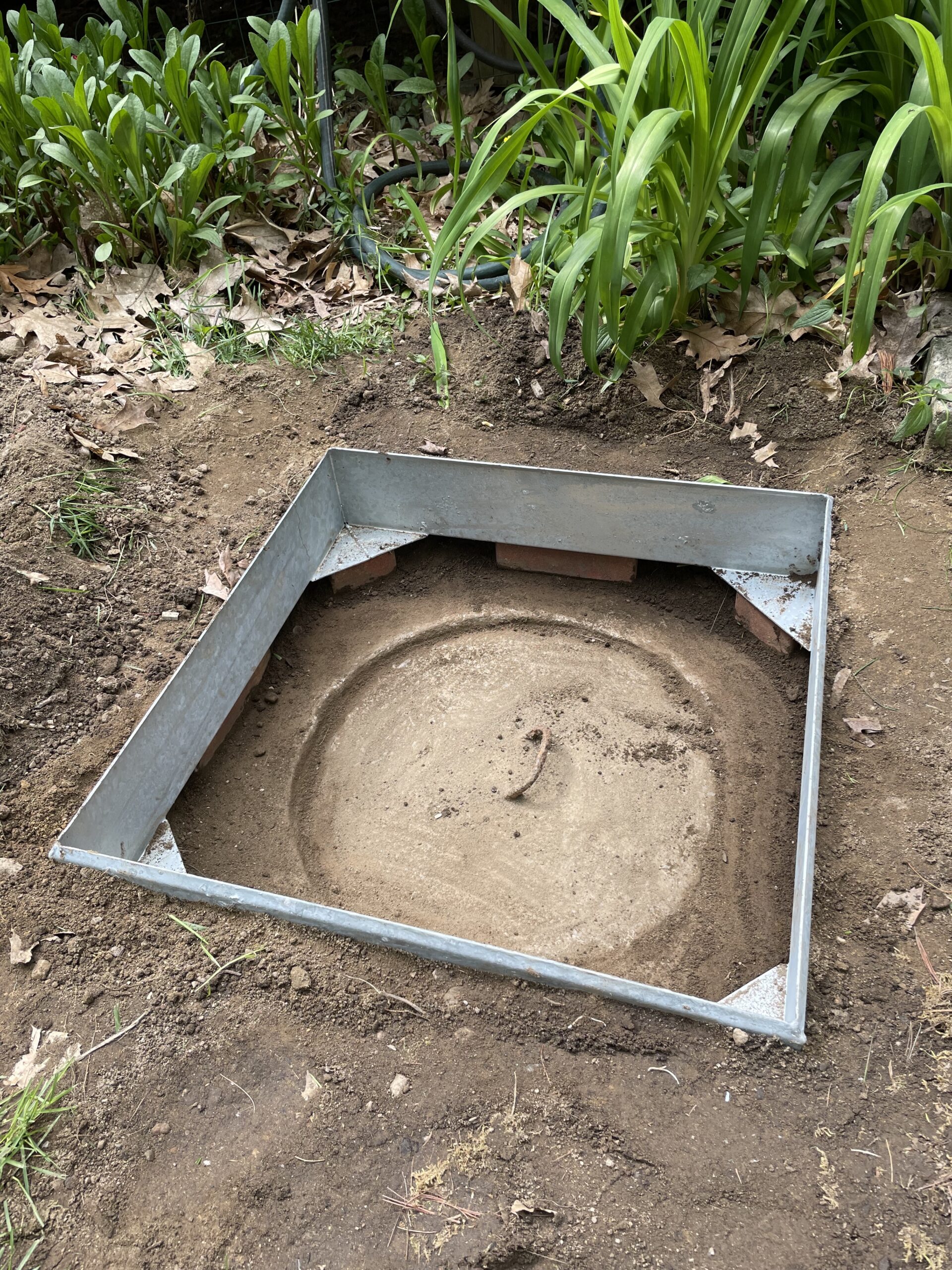 SterlingSeptic_IMG_7123