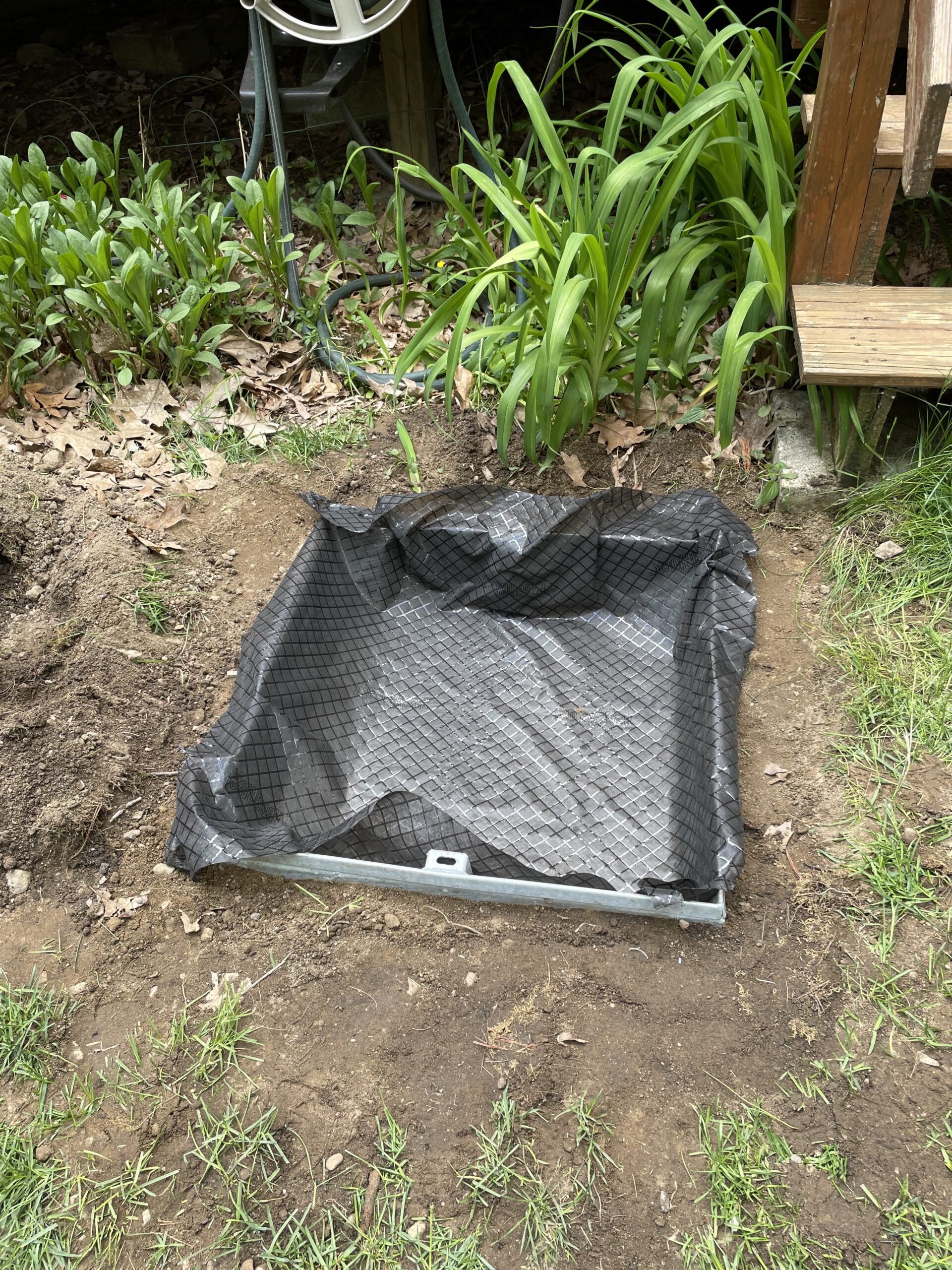 SterlingSeptic_IMG_7125