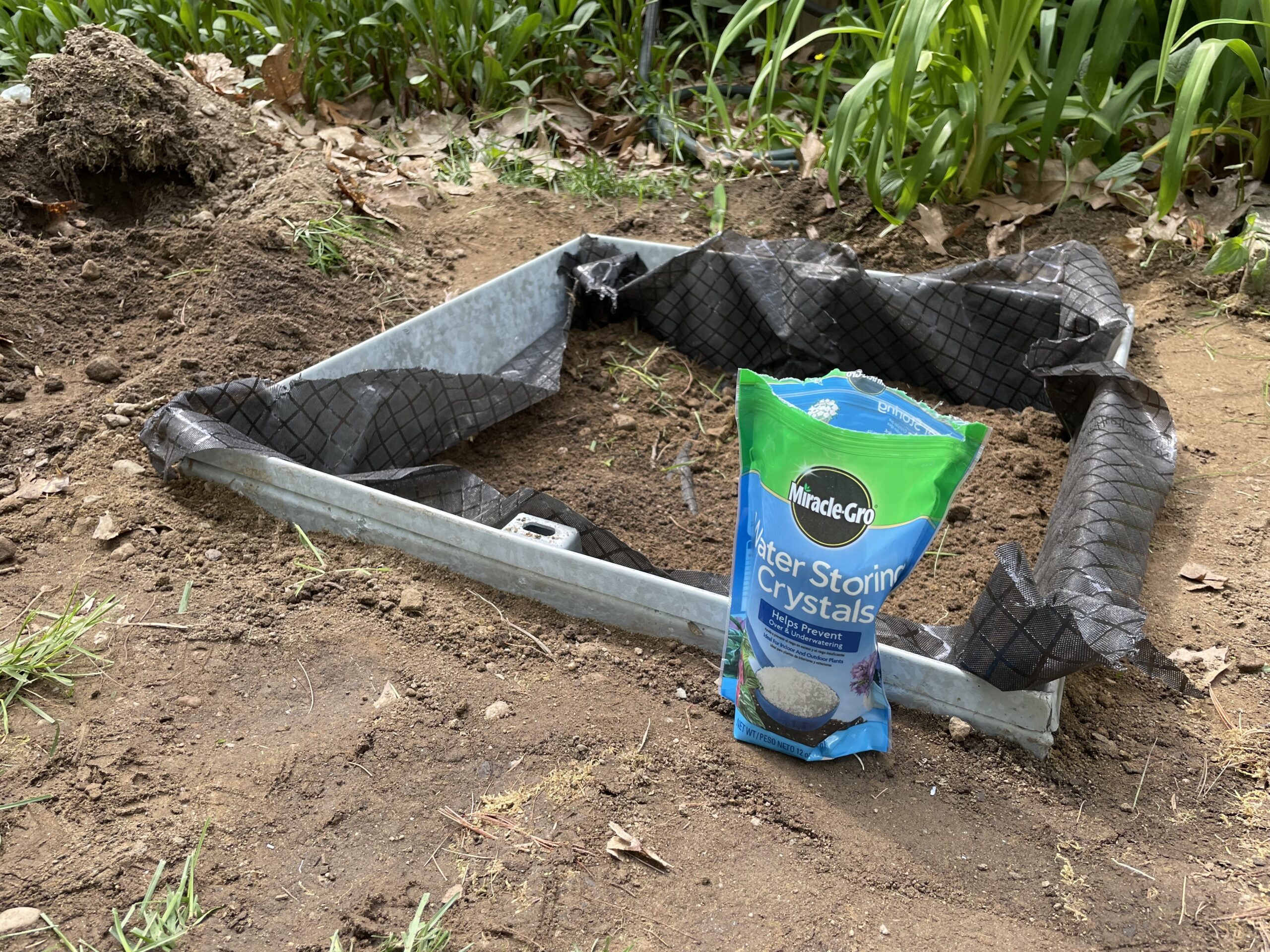 SterlingSeptic_IMG_7127