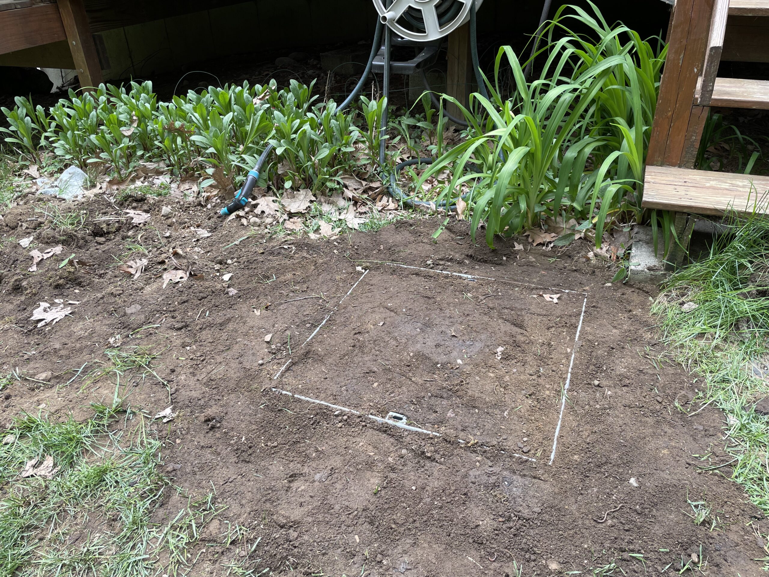 SterlingSeptic_IMG_7129