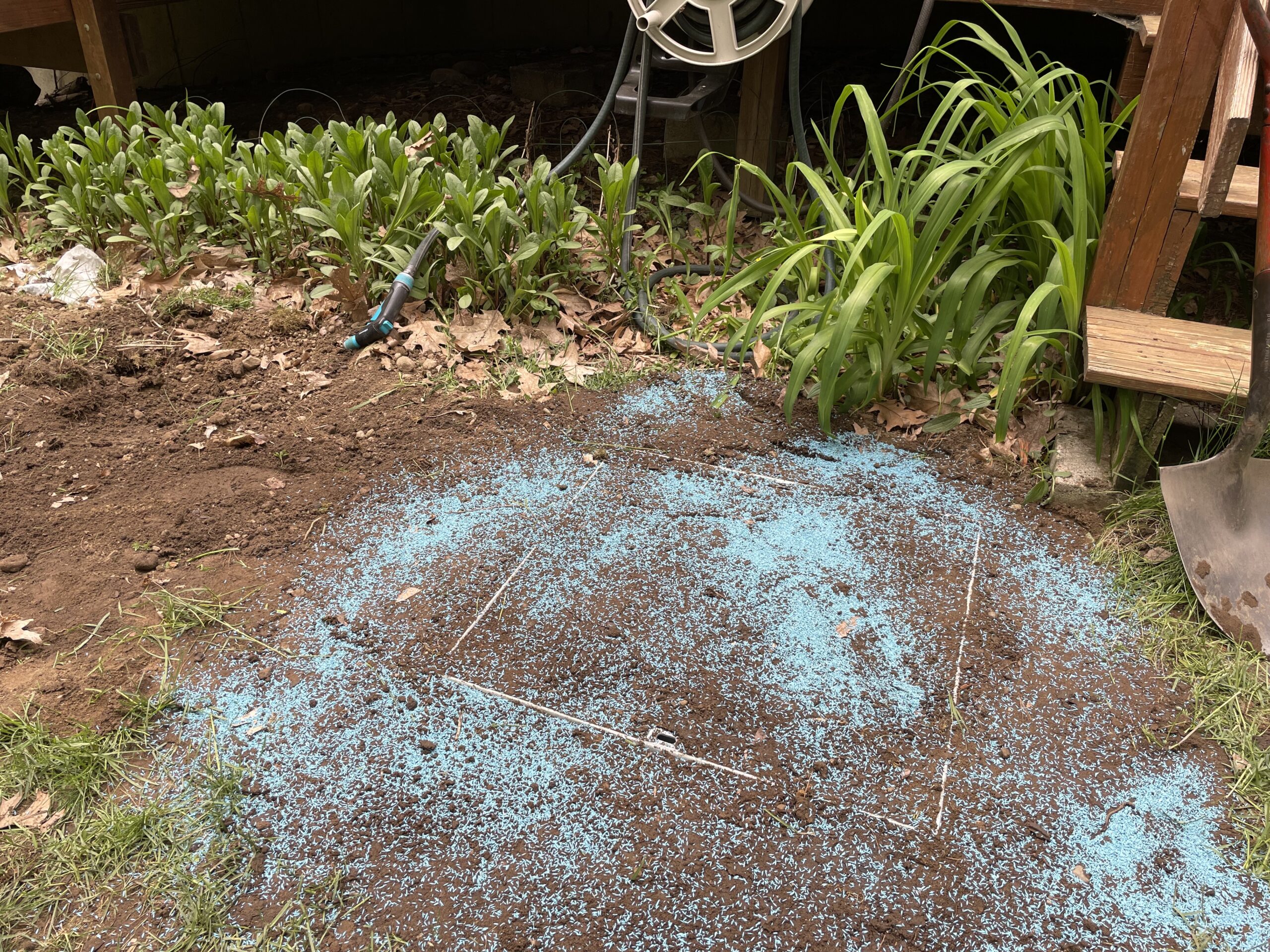 SterlingSeptic_IMG_7132