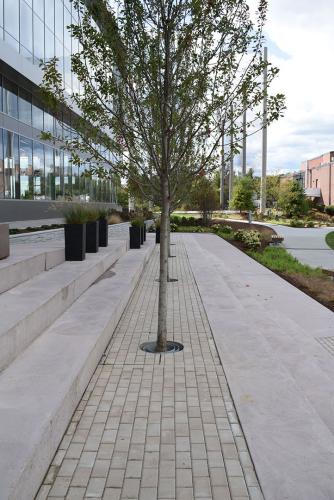 Consumer Utility Access Covers